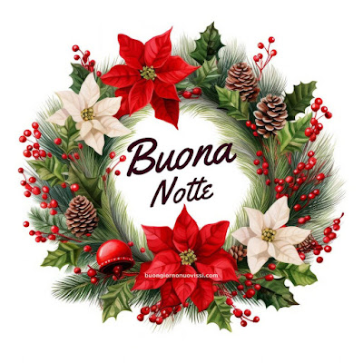 Immagini Buona Notte Invernale