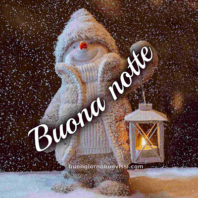 Immagini Buona Notte Invernale