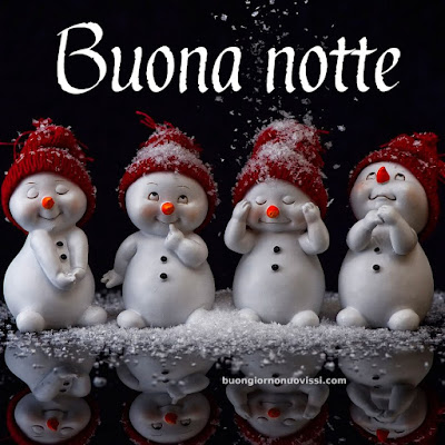 Immagini Buona Notte Invernale