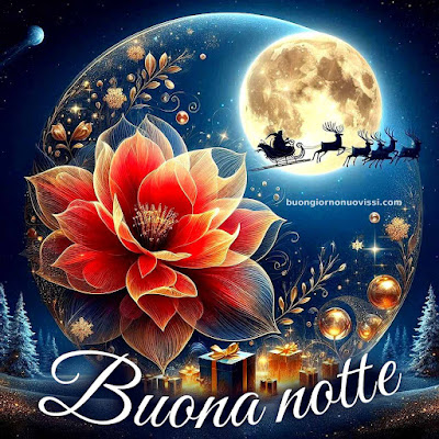 Immagini Buona Notte Invernale