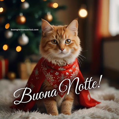 Immagini Buona Notte Invernale