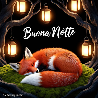 Immagini Buona Notte Immagini Buona Notte