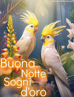 Le Fate Del Sole Buonanotte Immagini