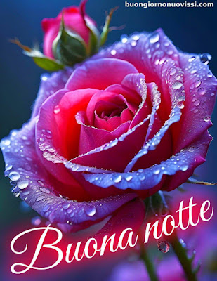 Le Fate Del Sole Buonanotte Immagini