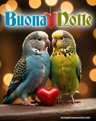 Le Fate Del Sole Buonanotte Immagini