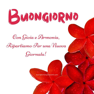Nuovissimo Buon Giorno Nuovissimi Nuovissimo Buongiorno immagini Recenti