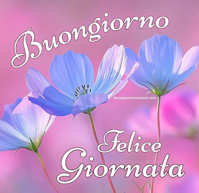 Nuovissimo Buon Giorno Nuovissimi Nuovissimo Buongiorno immagini Recenti