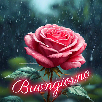 Nuovissimo Buon Giorno Nuovissimi Nuovissimo Buongiorno immagini Recenti