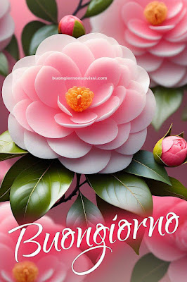 Nuovissimo Buon Giorno Nuovissimi Nuovissimo Buongiorno immagini Recenti