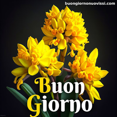 originali nuovissimo buongiorno immagini recenti