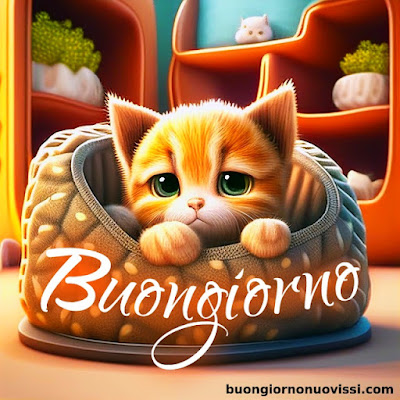 originali nuovissimo buongiorno immagini recenti