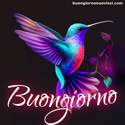 originali nuovissimo buongiorno immagini recenti