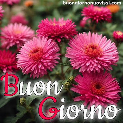 originali nuovissimo buongiorno immagini recenti