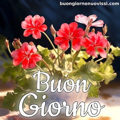 originali nuovissimo buongiorno immagini recenti