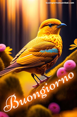 Particolare Nuovissime Whatsapp Buongiorno Immagini Recenti