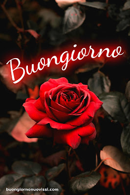 Particolare Nuovissime Whatsapp Buongiorno Immagini Recenti
