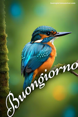 Particolare Nuovissime Whatsapp Buongiorno Immagini Recenti Particolare Nuovissime Whatsapp Buongiorno Immagini Recenti