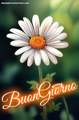 Particolare Nuovissime Whatsapp Buongiorno Immagini Recenti Particolare Nuovissime Whatsapp Buongiorno Immagini Recenti