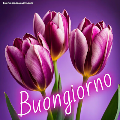 Particolare Nuovissime Whatsapp Buongiorno Immagini Recenti Particolare Nuovissime Whatsapp Buongiorno Immagini Recenti