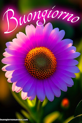 Particolare Nuovissime Whatsapp Buongiorno Immagini Recenti Particolare Nuovissime Whatsapp Buongiorno Immagini Recenti
