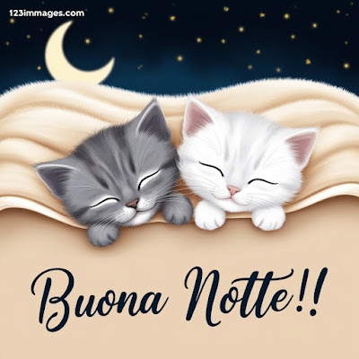 Pietra Rrosa Nuovissimo Buonanotte Immagini Recenti Gratis Per Whatsapp Pietra Rrosa Nuovissimo Buonanotte Immagini Recenti Gratis Per Whatsapp