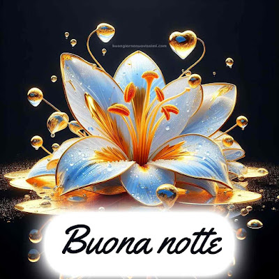 Whatsapp Buonanotte Immagini Nuove Gratis Whatsapp Buonanotte Immagini Nuove Gratis