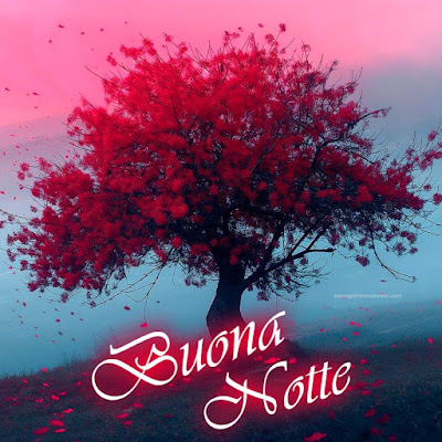 Whatsapp Buonanotte Immagini Nuove Gratis Whatsapp Buonanotte Immagini Nuove Gratis