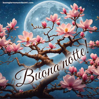 Whatsapp Buonanotte Immagini Nuove Gratis Whatsapp Buonanotte Immagini Nuove Gratis