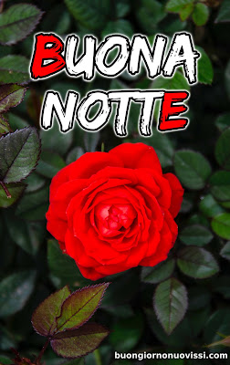 nuovissimo buonanotte immagini recenti gratis per whatsapp nuovissimo buonanotte immagini recenti gratis per whatsapp