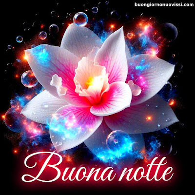 bellissime nuovissimo buonanotte immagini recenti bellissime nuovissimo buonanotte immagini recenti
