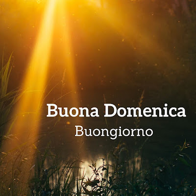 buon giorno buona domenica immagini nuove buon giorno buona domenica immagini nuove