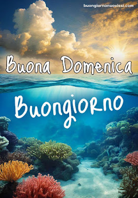 buon giorno buona domenica immagini nuove buon giorno buona domenica immagini nuove