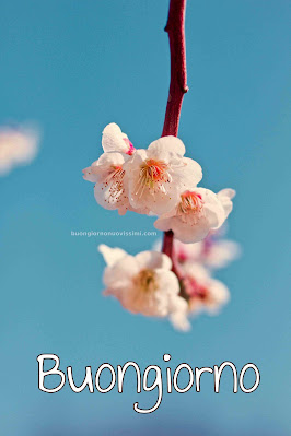 buon giorno buona giornata