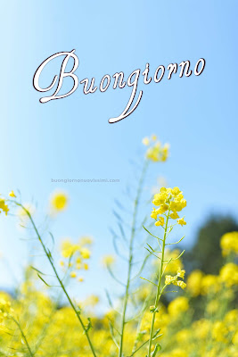 buon giorno buona giornata