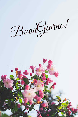 buon giorno buona giornata