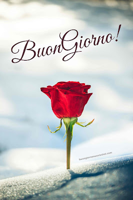 buon giorno buona giornata