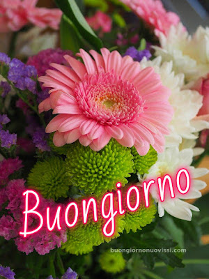buon giorno buona giornata
