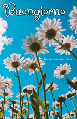 buon giorno buona giornata