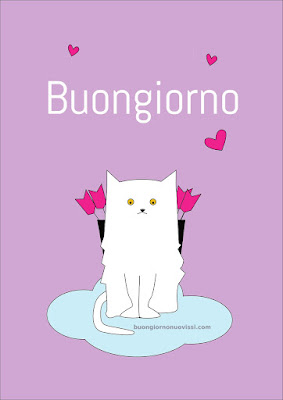 buon giorno buona giornata