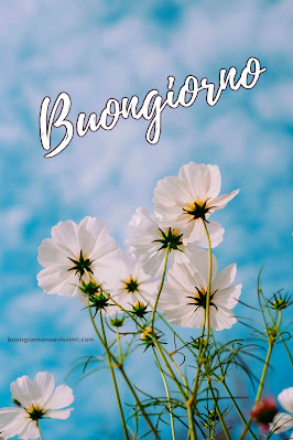 buon giorno buona giornata