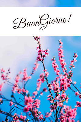 buon giorno buona giornata