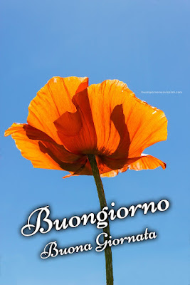buon giorno buona giornata