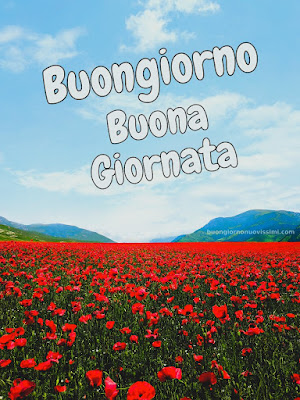 buon giorno buona giornata