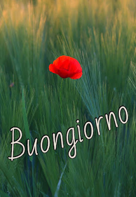 buon giorno buona giornata