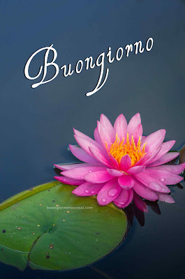 buon giorno buona giornata