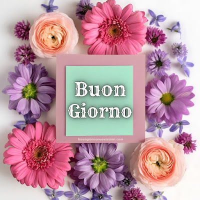 buon giorno immagini nuove gratis