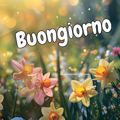 buon giorno immagini nuove gratis