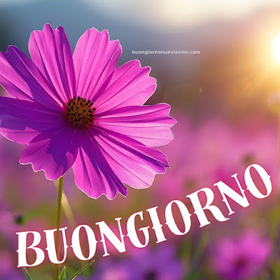 buon giorno immagini nuove gratis