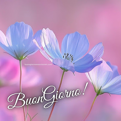buon giorno immagini nuove gratis