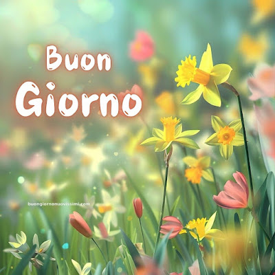 buon giorno immagini nuove gratis